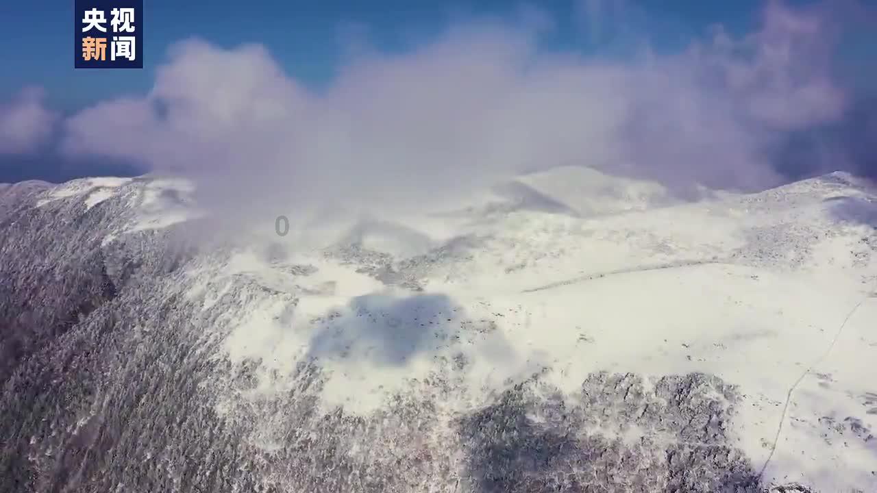 脱逃者